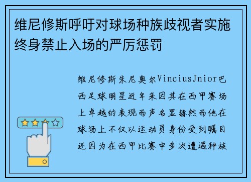 维尼修斯呼吁对球场种族歧视者实施终身禁止入场的严厉惩罚